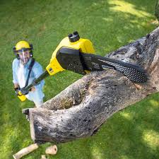 Best Lawn Grading and Leveling  in West Salem, WI