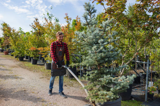 Best Weed Control  in West Salem, WI